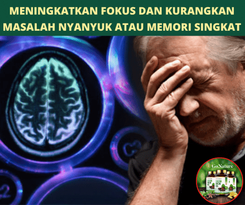 dj9lGex9juKLTuPYyDnsJX3vkoKh3EgZpb8lSoGE-e1634139677554.png
